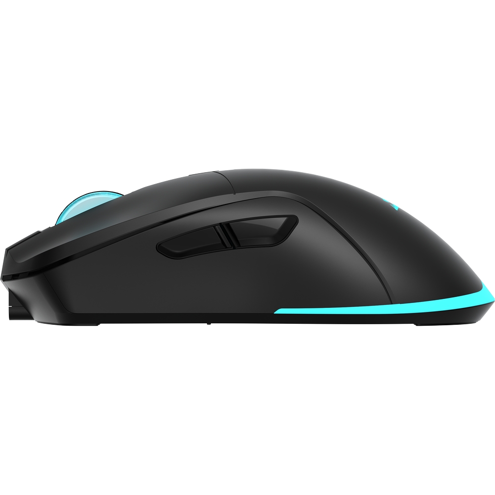 Podświetlenie RGB Rainbow Baracuda TURTLE czarna